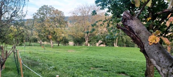 4 غرف نوم منزل في Ravensburg, Germany رقم 308972 19