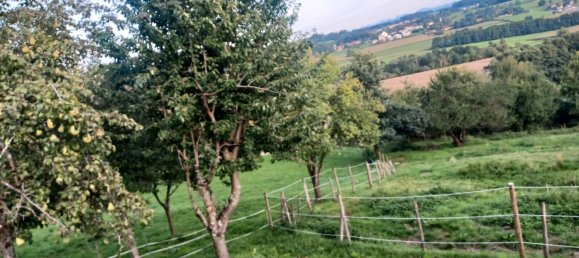 4 غرف نوم منزل في Ravensburg, Germany رقم 308972 20