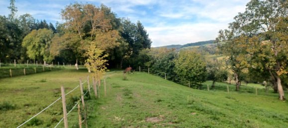 4 غرف نوم منزل في Ravensburg, Germany رقم 308972 15