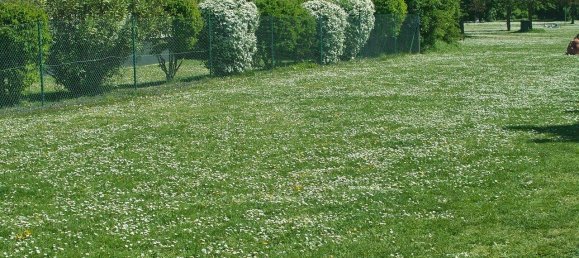 Terreno em Hietzing, Austria N.º 132880 2