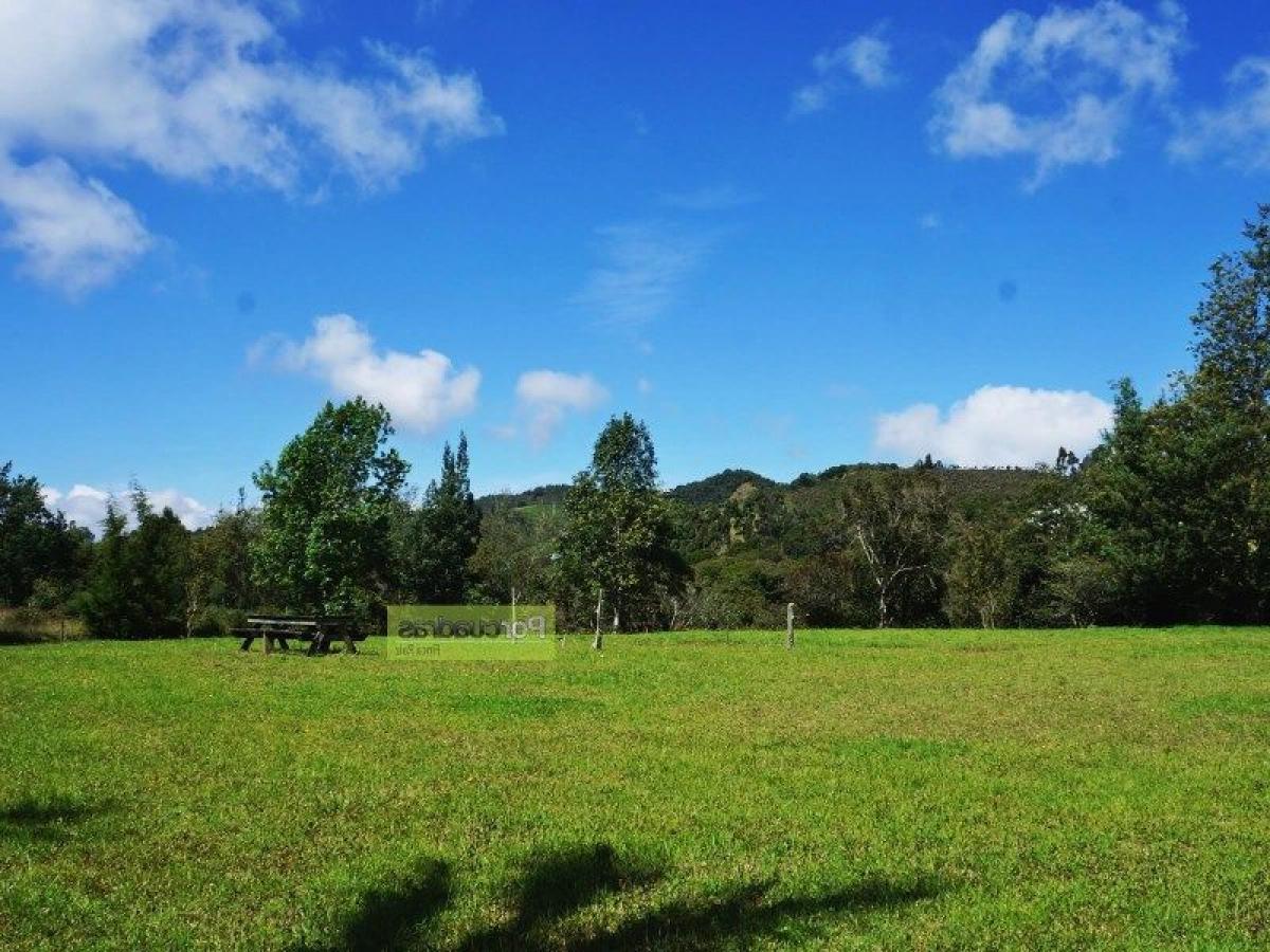  Land in Antioquia, Colombia No. 569