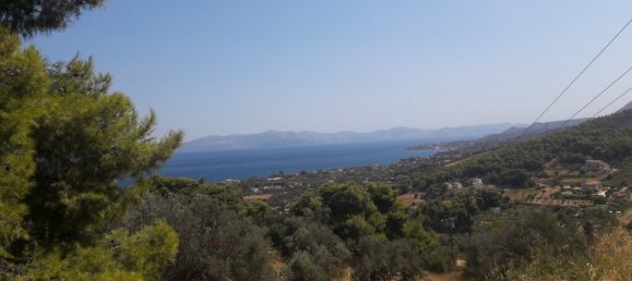 8076m² hôtel à vendre à Kalamos, Oropos, East Attica, Attica, Greece № 3640 2