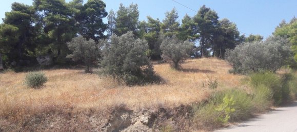 8076m² hôtel à vendre à Kalamos, Oropos, East Attica, Attica, Greece № 3640 6
