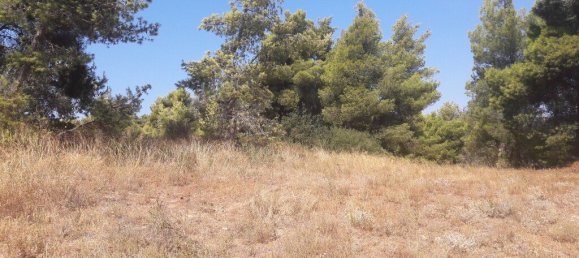 8076m² hôtel à vendre à Kalamos, Oropos, East Attica, Attica, Greece № 3640 4