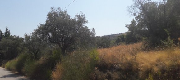 8076m² hôtel à vendre à Kalamos, Oropos, East Attica, Attica, Greece № 3640 7