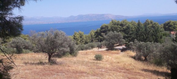 8076m² hôtel à vendre à Kalamos, Oropos, East Attica, Attica, Greece № 3640 3