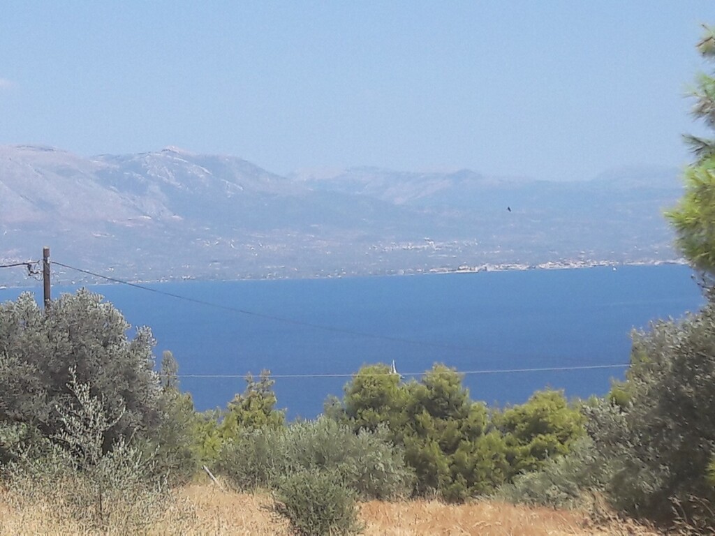 8076m² hôtel à vendre à Kalamos, Oropos, East Attica, Attica, Greece № 3640