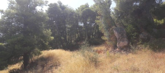 8076m² hôtel à vendre à Kalamos, Oropos, East Attica, Attica, Greece № 3640 5