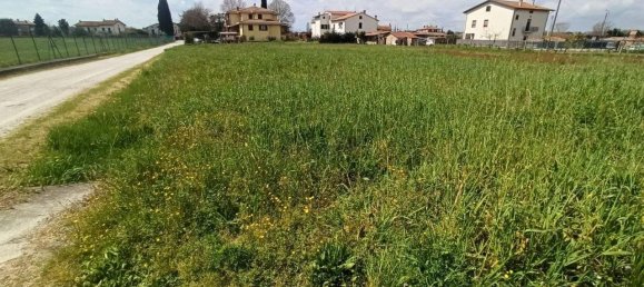 Grundstück in Castiglione del Lago, Italy 1960m², Nr. 119716 2