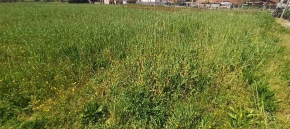 Grundstück in Castiglione del Lago, Italy 1960m², Nr. 119716 8