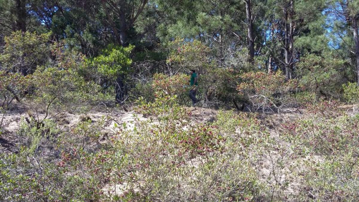  Land in Maldonado, Uruguay No. 14377