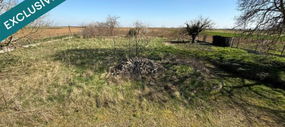 5 bedrooms House in Pithiviers, France No. 230602 13