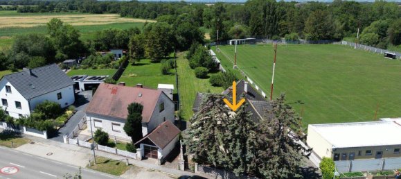 6 rooms Land in Moosbrunn, Austria No. 226478 5