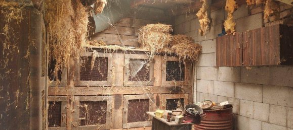 6 rooms Land in Moosbrunn, Austria No. 226478 20