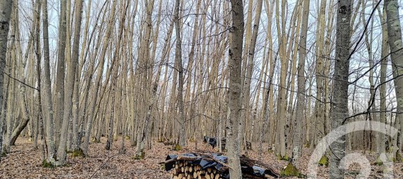 Terreno en Villefranche-sur-Cher, France No. 87832 9