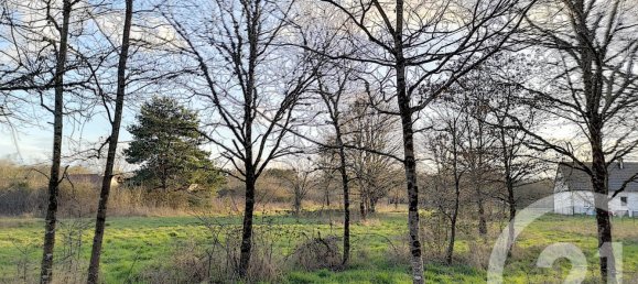 Terreno en Villefranche-sur-Cher, France No. 87832 6