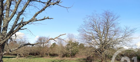 Terreno en Villefranche-sur-Cher, France No. 87832 4