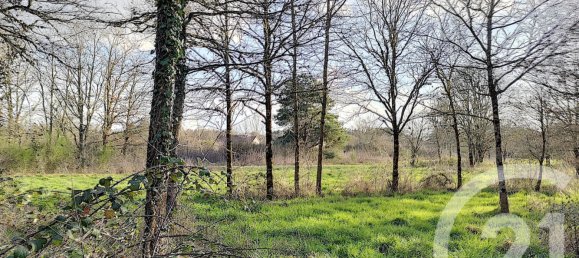 Terreno en Villefranche-sur-Cher, France No. 87832 11