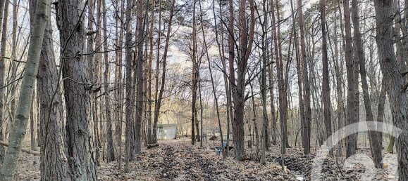 Terreno en Villefranche-sur-Cher, France No. 87832 12