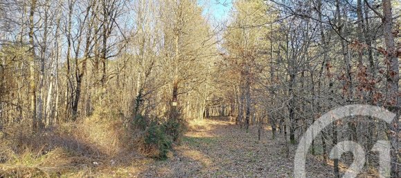 Terreno en Villefranche-sur-Cher, France No. 87832 7