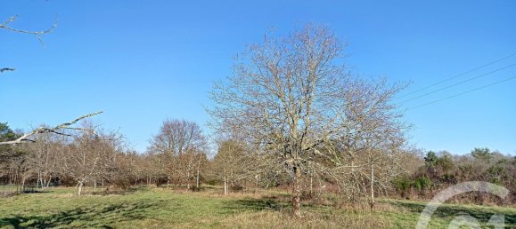 Terreno en Villefranche-sur-Cher, France No. 87832 3