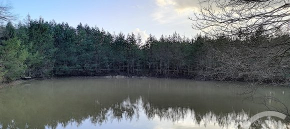 Terreno en Villefranche-sur-Cher, France No. 87832 10