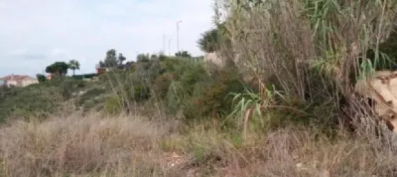 5146m² Land in Torrent, Spain No. 138213 18