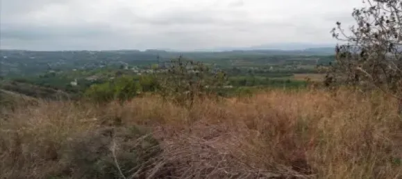 5146m² Land in Torrent, Spain No. 138213 16