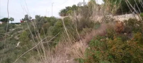 5146m² Land in Torrent, Spain No. 138213 3