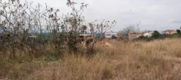 5146m² Land in Torrent, Spain No. 138213 6