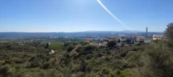 5146m² Land in Torrent, Spain No. 138213 5