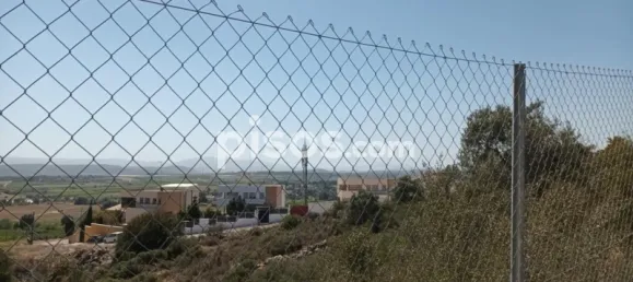 5146m² Land in Torrent, Spain No. 138213 28