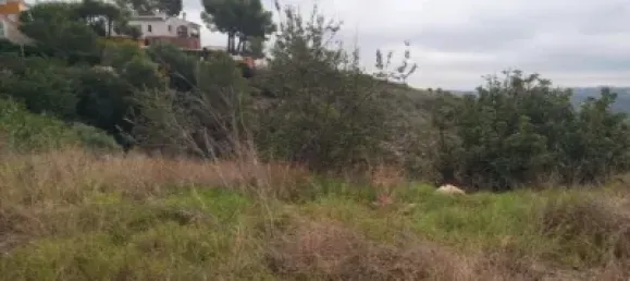 5146m² Land in Torrent, Spain No. 138213 2