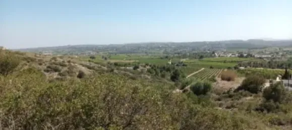 5146m² Land in Torrent, Spain No. 138213 21