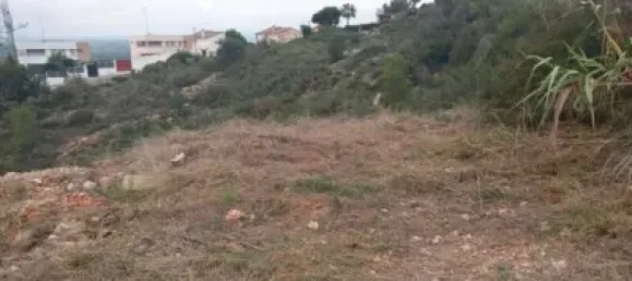 5146m² Land in Torrent, Spain No. 138213 4