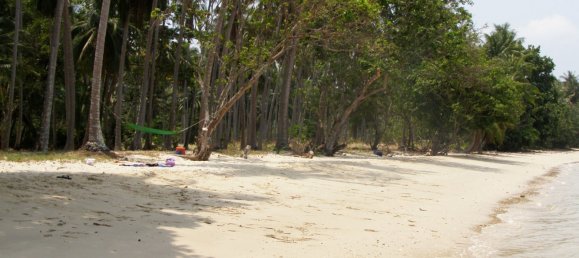 700m² Commercial property in Phuket, Thailand No. 8627 2