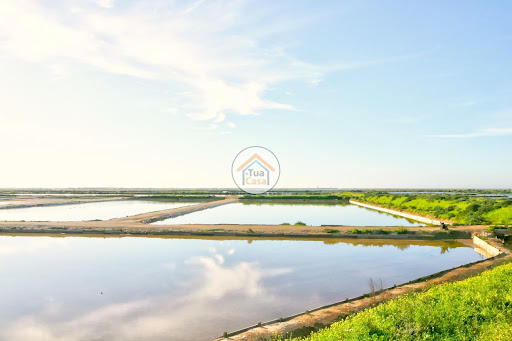 5 bedrooms House in Olhao, Portugal No. 324428