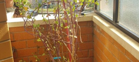 3 rooms Apartment in Campobasso, Italy No. 203385 7