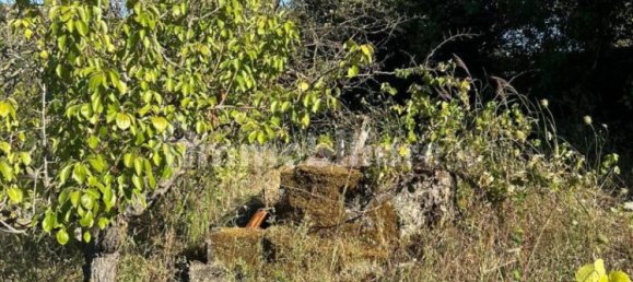 1 chambre Maison à Caltavuturo, Italy No. 285411 10