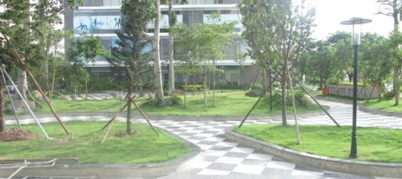 3 Schlafzimmer Wohnung in Cau Giay, Vietnam, Nr. 4041 16