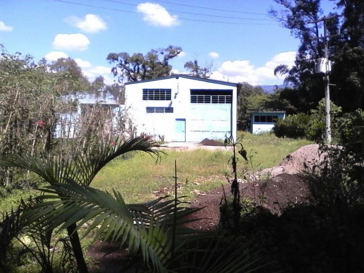  Land in Veracruz, Mexico No. 203828