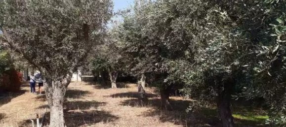 547m² Land for sale in Vari, Vari-Voula-Vouliagmeni, East Attica, Attica, Greece № 93869 8