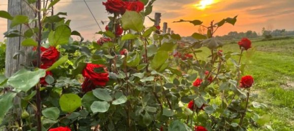 4 bedrooms House in Roncade, Italy No. 122098 2