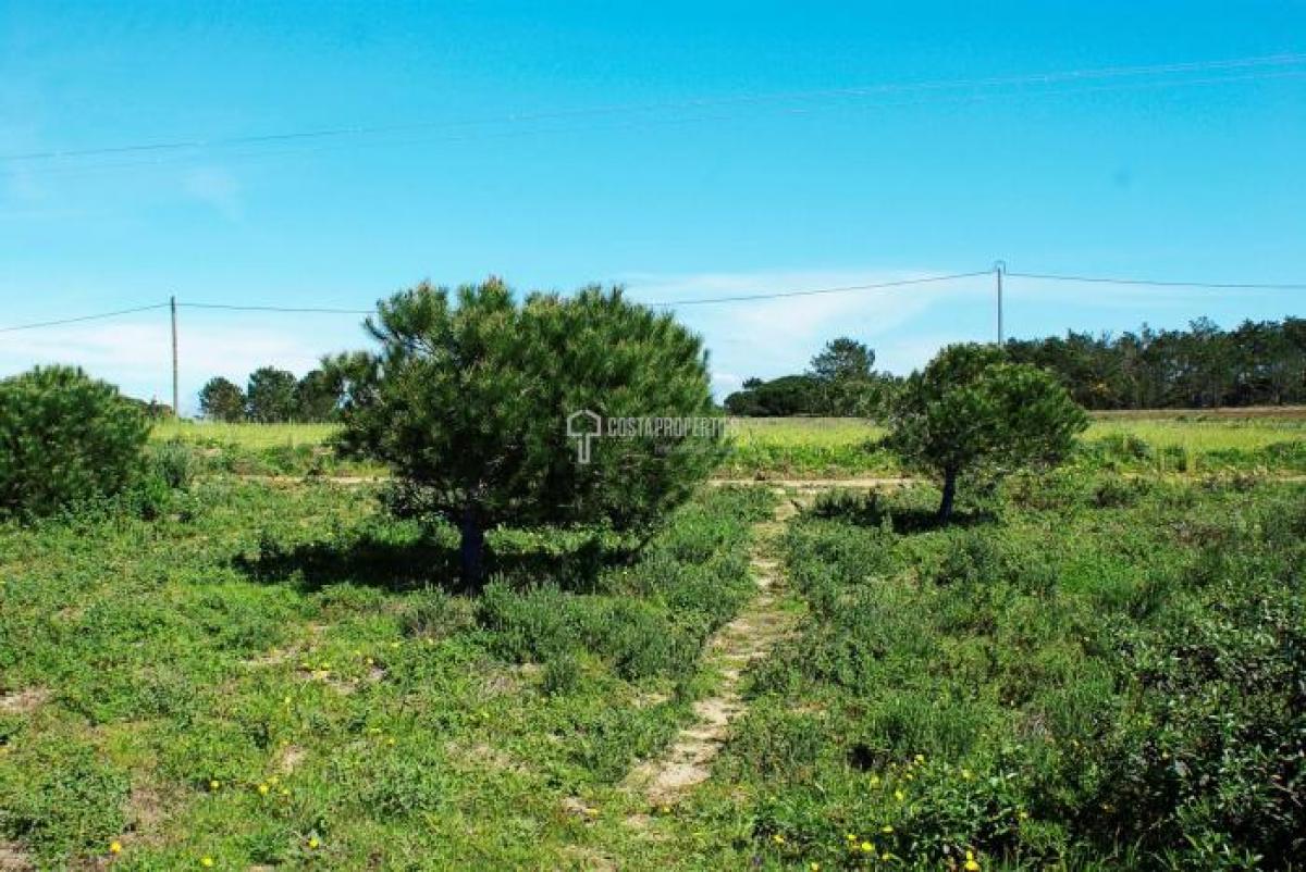 Grundstück in Vila do Bispo, Portugal, Nr. 8491