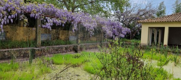 1 غرف نوم منزل في Setubal, Portugal رقم 64885 30