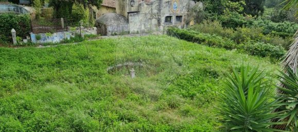 1 غرف نوم منزل في Setubal, Portugal رقم 64885 49