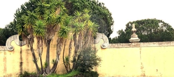 1 غرف نوم منزل في Setubal, Portugal رقم 64885 20