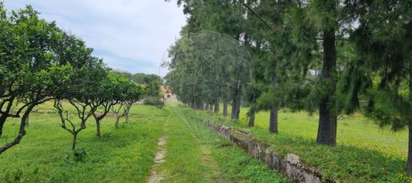 1 غرف نوم منزل في Setubal, Portugal رقم 64885 24