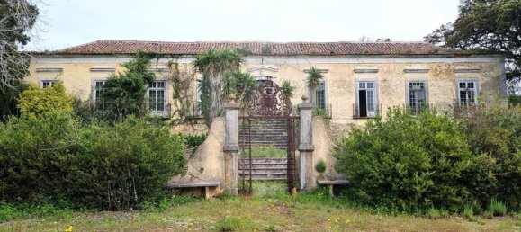 1 غرف نوم منزل في Setubal, Portugal رقم 64885 16