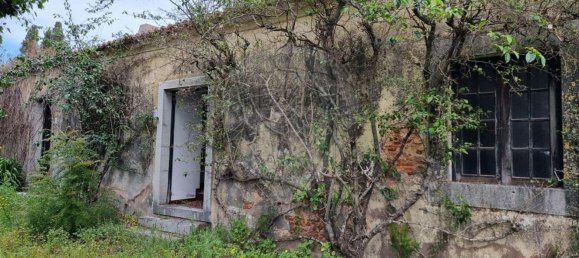 1 غرف نوم منزل في Setubal, Portugal رقم 64885 39